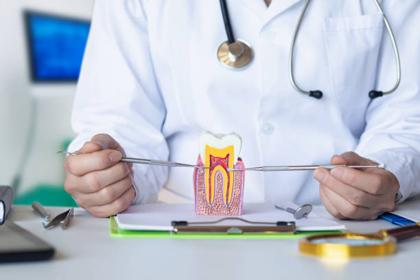 Best Emergency Dentist for Knocked-Out Tooth in St Clair Shores, MI